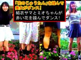 「花のじゅうたん」を踏んで美女がダンス!〜結衣サマとミオちゃんが赤い花を踏んでダンス〜